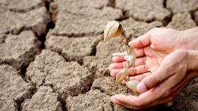 Испания попросила у Евросоюза компенсаций из-за засухи